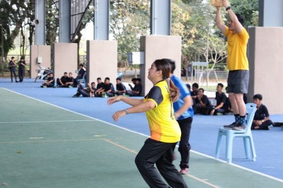 IMG_4417_800x533.JPG