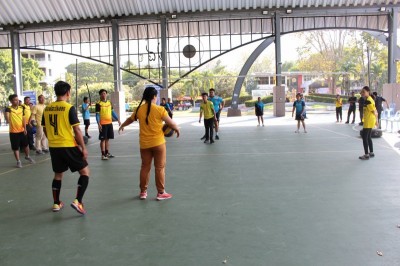IMG_4431_800x533.JPG