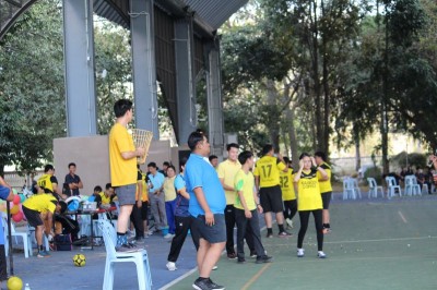IMG_9552_800x533.JPG