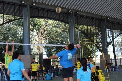 IMG_9685_800x533.JPG