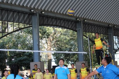 IMG_9698_800x533.JPG