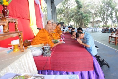 IMG_4934_800x533.JPG