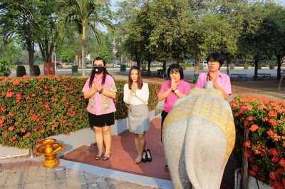 IMG_6878_800x533.JPG