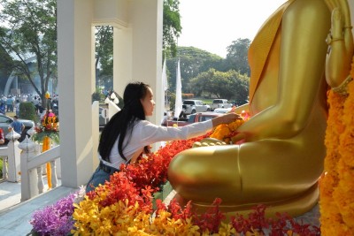 DSC_0227_800x534.JPG