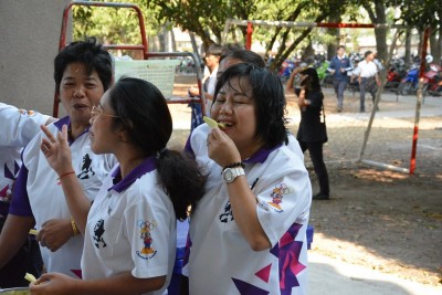 DSC_0310_800x534.JPG