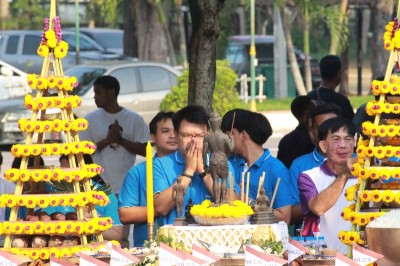 IMG_3565_800x533.JPG