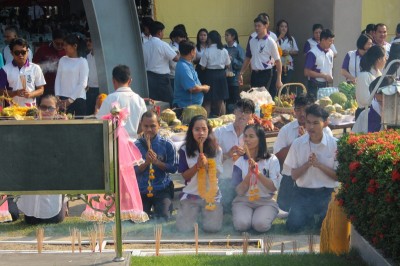 IMG_7873_800x533.JPG