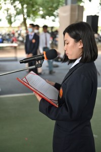 MAS_6871_1024x683.JPG