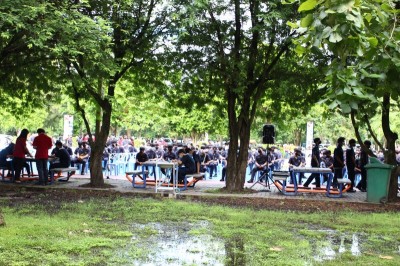IMG_8702_800x533.JPG
