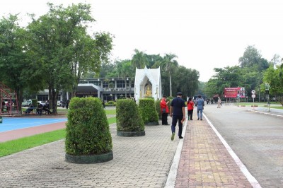 IMG_0146_800x533.JPG