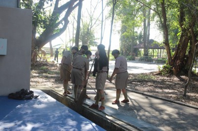 IMG_3206_800x533.JPG