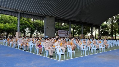 517.jpg