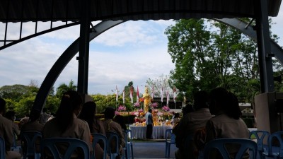 566.jpg