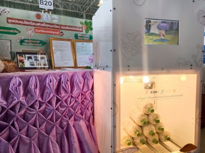LINE_ALBUM_�дѺ�Ҥ Ƿ.��Ҩչ����_250801_6.jpg